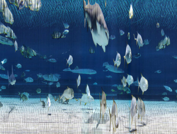 Surreal underwater art