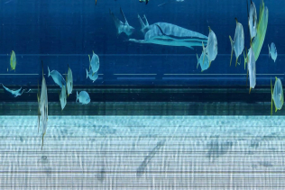 Surreal underwater image