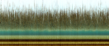 Dimensionality of the Aegean 06