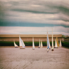 Regatta 6