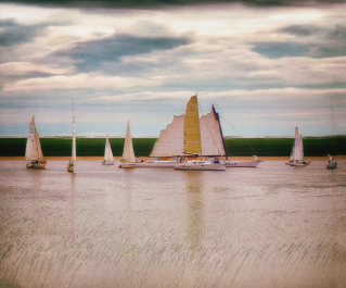 Regatta 3