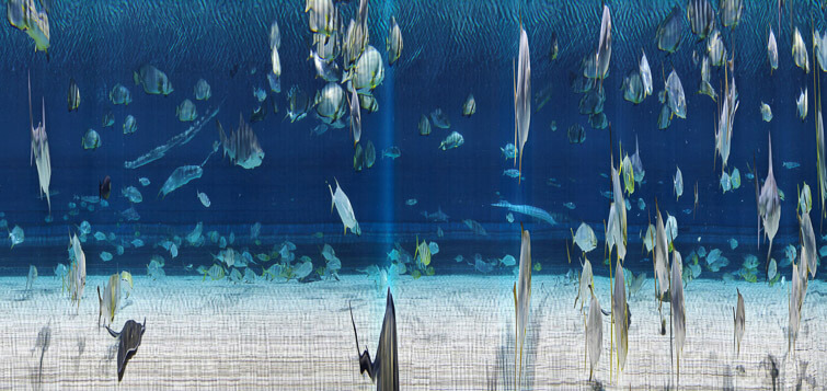 Surreal underwater world