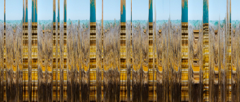 Dimensionality of the Aegean 02